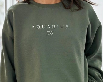 Sudadera de Acuario, regalos de cumpleaños, suéter de Acuario, cumpleaños del zodiaco, regalos de Acuario, sudaderas con los signos del zodíaco de enero y febrero, U213