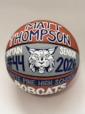 Painted Basketball