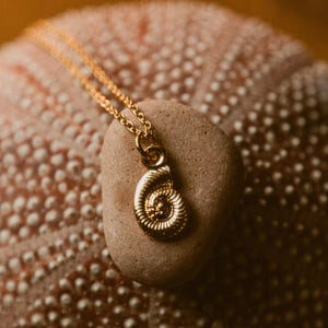 May include: A gold-toned necklace featuring a small, spiral-shaped ammonite fossil pendant. The pendant is suspended from a delicate gold-colored chain, showcasing a detailed, ribbed texture that mimics the natural form of a prehistoric shell.
