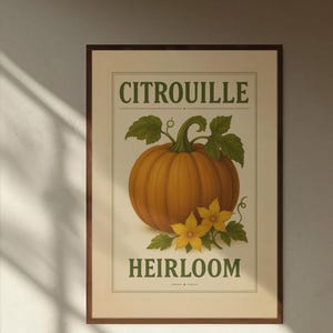 Vintage Kürbis Poster Heirloom botanische Herbst-Wand-Kunst für Küche oder Herbst-Dekor, rustikale Ernte Illustration, Ernte Kunst Digitaldruck