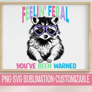Feelin Feral: Du wurdest gewarnt - Süßes Buntes sarkastisches SVG & PNG | Digitaler Download | Freche Sprüche | Lustiger Waschbär im Weltraum