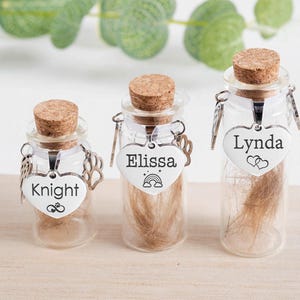 Personalized Pet Fur Keepsake, Pet Loss Gift, Glass Memorial Jar, Custom Pet Fur Memorial Jar, Dog Cat Remembrance Gift, Rainbow Bridge Pet