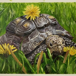 May include: A painting of a tortoise in a grassy field with yellow dandelions. The tortoise is facing the viewer with its head and neck extended. The tortoise's shell is brown and black with a textured pattern. The dandelions are in various stages of bloom.