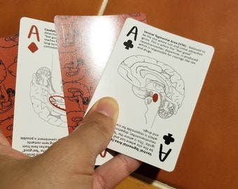 May include: Three playing cards, each featuring a different suit: a diamond, a club, and another club. Each card has a brain illustration with a highlighted area, and the text "Ventral Tegmental Area (VTA)" is printed on the card with the club suit.