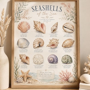 Peut inclure: Une affiche éducative encadrée intitulée SEASHELLS of the Sea, présentant des illustrations à l'aquarelle de douze coquillages distincts dont une coquille Saint-Jacques, un conque et un oursin plat, avec des descriptions et une citation.