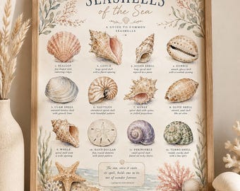 May include: A framed educational poster titled SEASHELLS of the Sea, featuring watercolor illustrations of twelve distinct seashells including a scallop, conch, and sand dollar, with descriptive text for each and a quote by Jacques Cousteau.