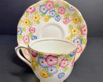 Antique Royal Albert Pastel Florals With Hand Painted Enamel Dots Teacup & Saucer Set 1118