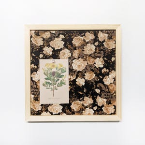 Fabric cork board