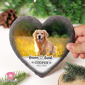 Pet Memorial Grave With Photo, Custom Pet Memorial Stone, Pet Portrait Grave Marker, Pet Grave Stone, Pet Memorial Gift, Dog Sympathy Gift image 4