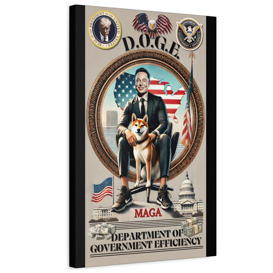 D.O.G.E. ELON MUSK Canvas | Matte Stretched Art Gift for Elon Musk Fans ...