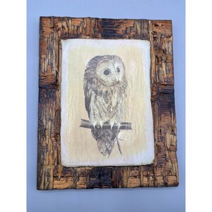 Vtg 70s Rustic Owl Print On Bark Wooden Plaque Wall Art Decor Retro