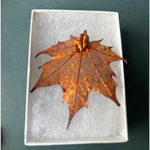 May include: A copper-colored maple leaf brooch with a metallic finish and visible vein details, resting inside a white rectangular gift box lined with white shredded paper filler. The leaf has a pointed shape with multiple lobes.