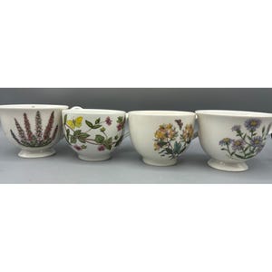 Set mit 4 Portmeirion Botanic Garden Footed Teetassen Blumenmuster