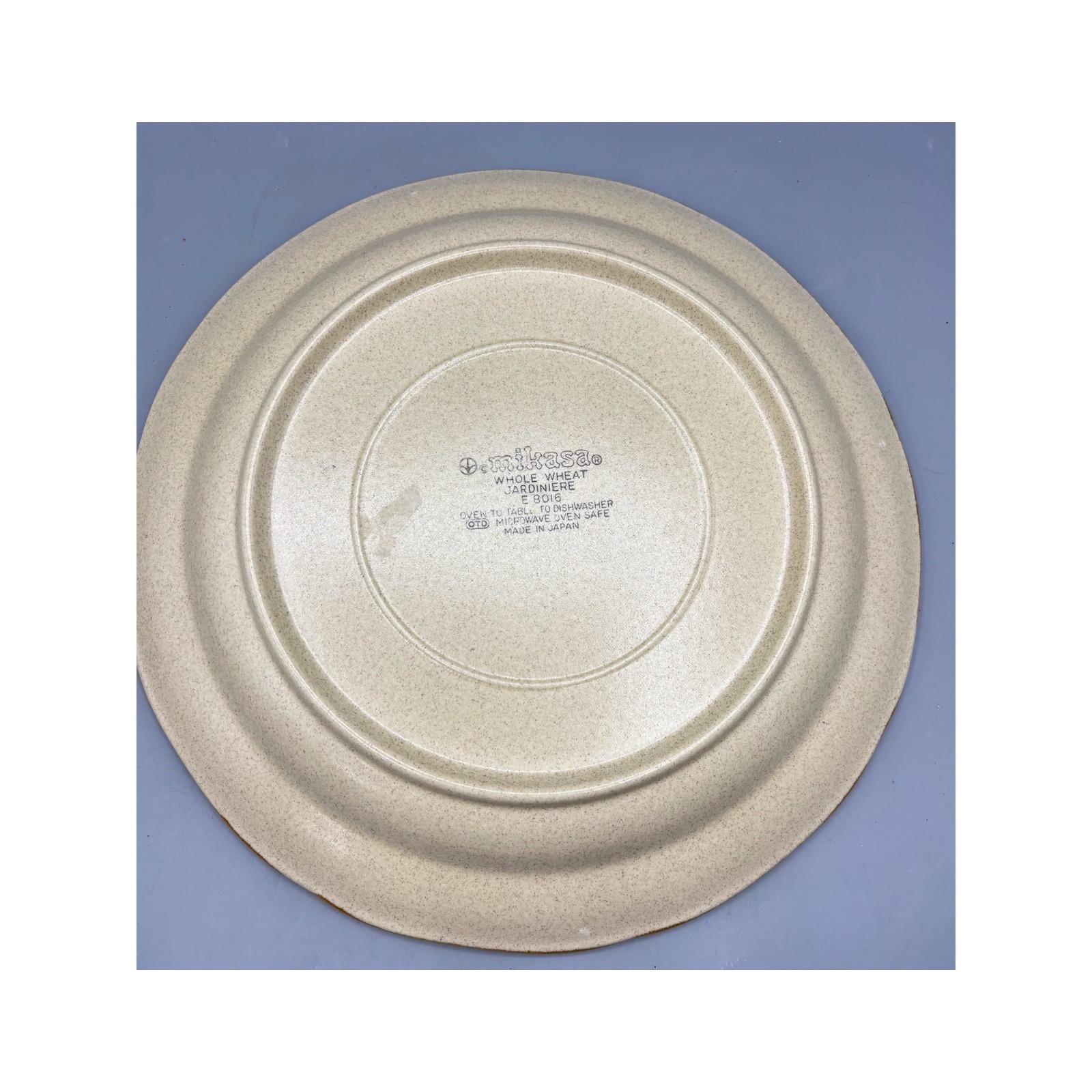 Mikasa Whole Wheat Jardiniere E8016 Dinner Plate 10.5