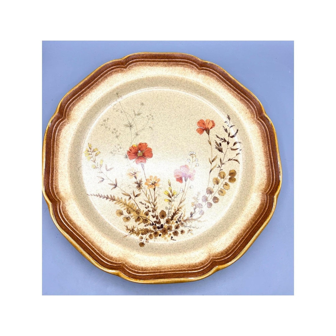 Mikasa Whole Wheat Jardiniere E8016 Dinner Plate 10.5