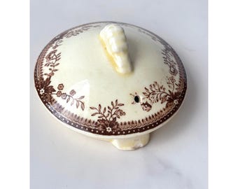 Vtg Royal Staffordshire Clarice Tonquin Brown Multicolor Sugar Replacement Lid