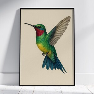 Impresión artística de colibrí: Ilustración vibrante de ave tropical (Descarga digital, archivo PNG)