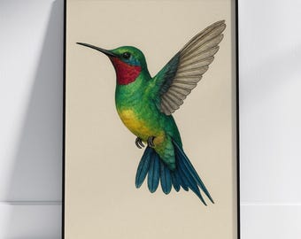 Colorful Hummingbird Wall Art, Botanical Bird Illustration, Nature Inspired Decor