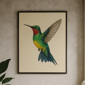 Hummingbird Art Print: Vibrant Tropical Bird Illustration (Digital Download PNG File)