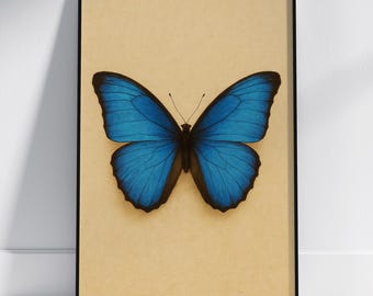 Illustrazione di farfalla blu vintage, stampa artistica di insetti, decorazione murale di storia naturale, botanica, scientifica, minimalista
