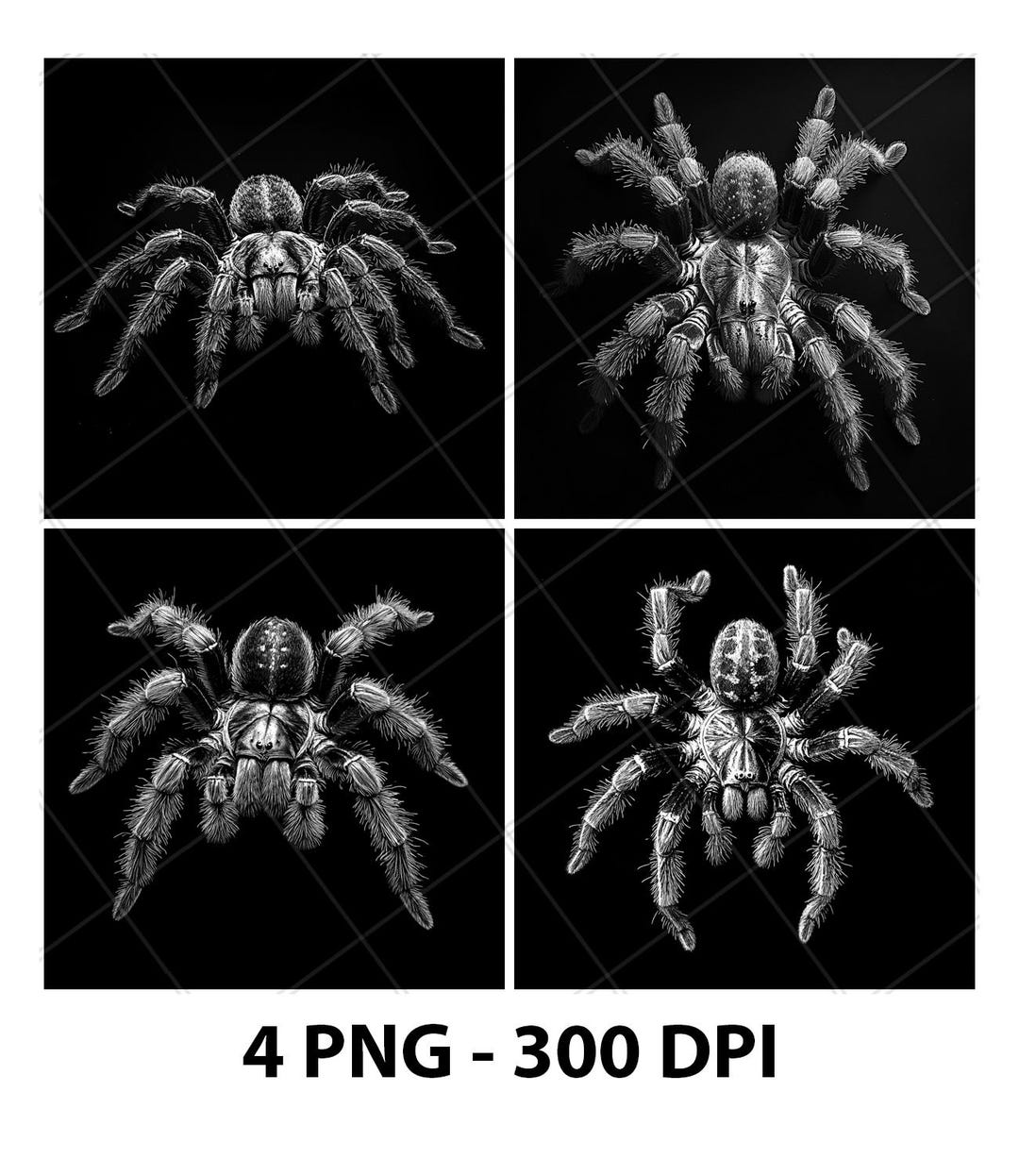 Scary Tarantula Spider Poisonous Venom Laser Engraving Slate