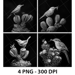 Cactus Wren che si nutre di insetti che mangiano uccelli 3D Illusione Laser File PNG Ardesia Incisione Sottobicchiere Xtool Legno Nero Bianco Glowforge LightBurn Co2 Cnc