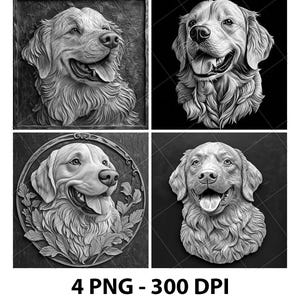 May include: Four grayscale images of a Golden Retriever dog. Each image is a different artistic rendering of the dog's face, with varying backgrounds and styles. The text "4 PNG - 300 DPI" is at the bottom.