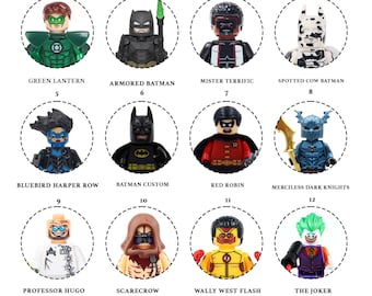 DC Heroes Custom Minifigure Joke, Batman Robin Custom Brick