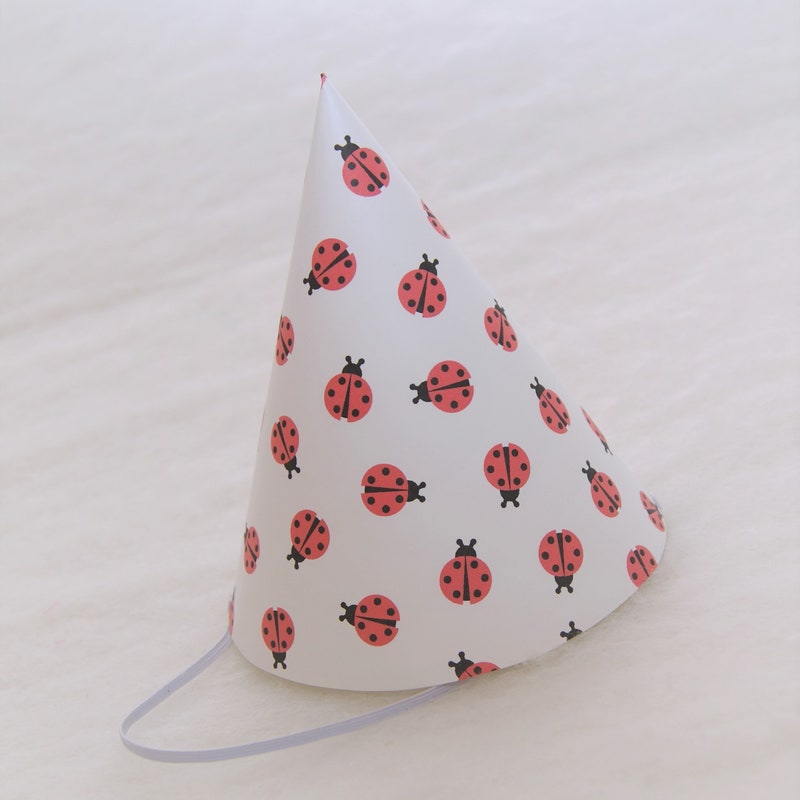 Ladybug Hat main image 0
