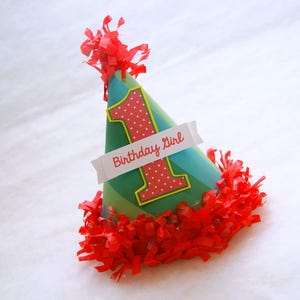 Caterpillar Birthday Hat - Hungry Caterpillar, caterpillar cuteness party