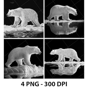 Polar Bear Laser Engrave File Polar Bear Laser PNG Polar Bear Slate Polar Bear Coaster Polar Bear Wood Polar Bear Engrave Bear 3D 2D Xtool