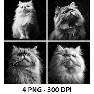 Persian Cat Breed Laser Engrave File PNG Persian Cat Laser Persian Cat Slate Persian Cat Coaster Persian Cat Wood Engrave Persian Cat Xtool