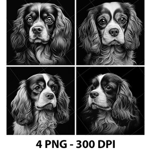 May include: Four black and white digital illustrations of Cavalier King Charles Spaniel dogs. Each dog is looking at the camera with a different head tilt. The images are set against a black background.