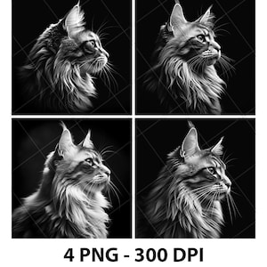Fichier de gravure laser Maine Coon chat PNG Fichier Maine Coon laser Fichier Maine Coon ardoise Fichier Maine Coon Coaster Fichier Maine Coon en bois Gravure Maine Coon