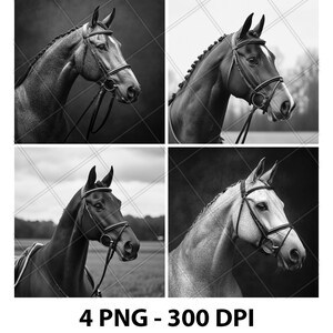 Warmblood Horse Laser Engrave File PNG Warmblood Horse Laser Warmblood Horse Slate Warmblood Horse Coaster Warmblood Wood Engrave 3D Xtool