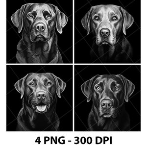 Archivo de grabado láser de Labrador PNG Archivo láser de Labrador Archivo de pizarra de Labrador Archivo de posavasos de Labrador Archivo de madera de Labrador Archivo de grabado de Labrador 3D 2D