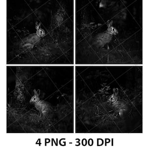 Fichier de gravure laser lapin lièvre lapin PNG Fichier laser de lapin Fichier ardoise lapin Fichier de sous-verres de lapin Lime en bois de lapin Fichier de gravure de lapin 3D 2D