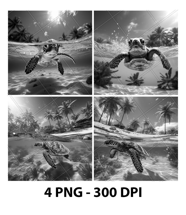 May include: A black and white photo collage of four images featuring a sea turtle swimming in the ocean. The turtle is swimming towards the camera in each image. The background of the images is a tropical beach with palm trees.