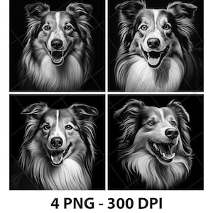 Può includere: Quattro illustrazioni digitali in bianco e nero di un border collie con un'espressione felice. Il cane guarda direttamente lo spettatore. Le immagini sono su uno sfondo nero.