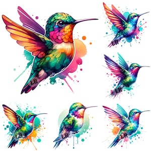 Hummingbird PNG Clip Art, Watercolor, Transparent Background, birds, Hummingbirds, bundle, Clipart, Instant Download