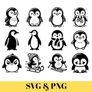 Bundle SVG pingouin, pingouin PNG Bundle, clipart pingouin, pingouin SVG coupe fichiers pour Cricut, silhouette pingouin, pingouin coupe fichiers