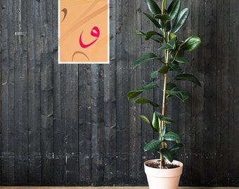 Póster
