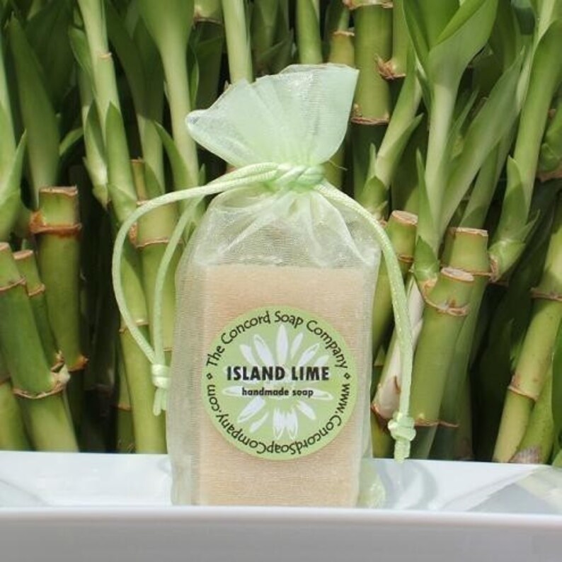 Island Lime Handmade Cold Process Soap Bar, 4oz coconut lime verbena, tropical scent, natural image 2