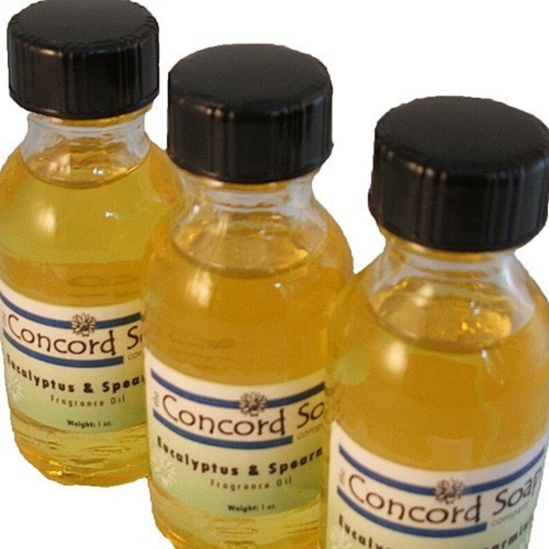 Eucalyptus and Spearmint Refresher Oil Home Fragrance Etsy