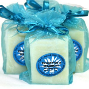 Eucalyptus and Spearmint Handmade Cold Process Soap Bar, 4oz - Minty ...