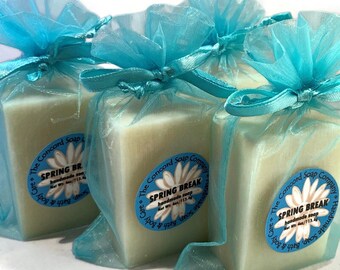 Spring Break Handmade Cold Process Soap Bar, 4oz- aqua, suntan lotion, sunblock scent, vegan, natural, sustainable palm oil