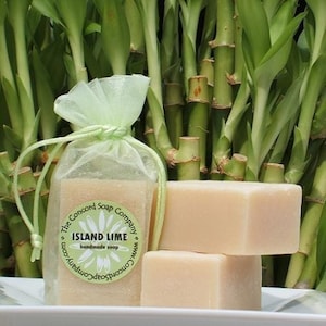 Island Lime Handmade Cold Process Soap Bar, 4oz coconut lime verbena, tropical scent, natural image 1