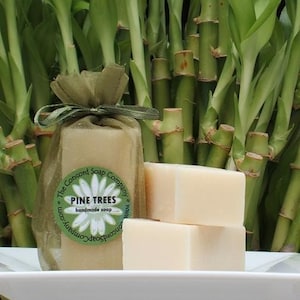Pine Trees Handmade Cold Process Soap Bar, 4oz - woodsy scent, natural, sustainable palm oil