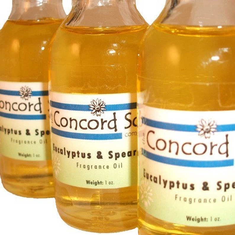 Eucalyptus and Spearmint Refresher Oil Home Fragrance Etsy