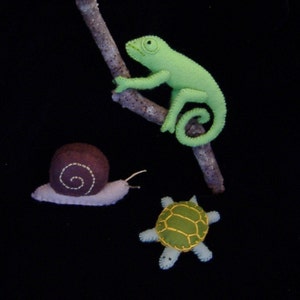 Slimy Snail Crawling Chameleon and Tranquil Turtle PDF Toy Pattern